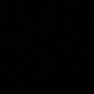 Meet your Posher, Bradley